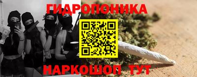 спиды Заводоуковск